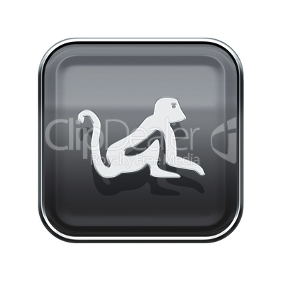 Monkey Zodiac icon grey, isolated on white background.