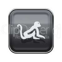 Monkey Zodiac icon grey, isolated on white background.