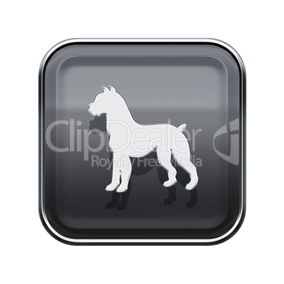 Dog Zodiac icon grey, isolated on white background.