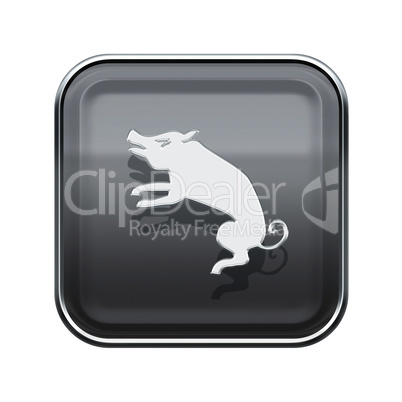 Pig Zodiac icon grey, isolated on white background.