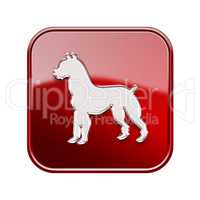Dog Zodiac icon red, isolated on white background.