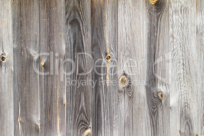 Wood. Background.