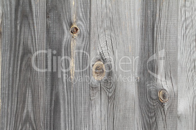 Wood. Background.