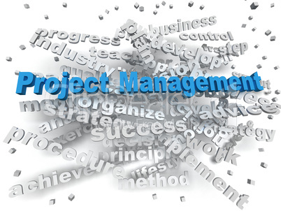 3d image Project Management  word cloud concept