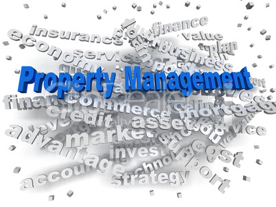 3d image Property Management word cloud concept