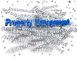 3d image Property Management word cloud concept