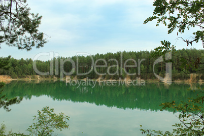 beautiful lake in the forest