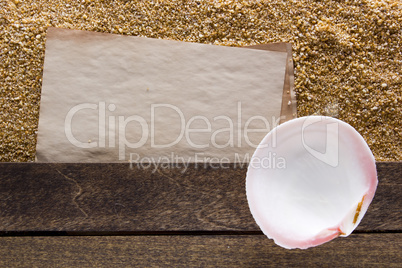 Sea shell on the wooden background
