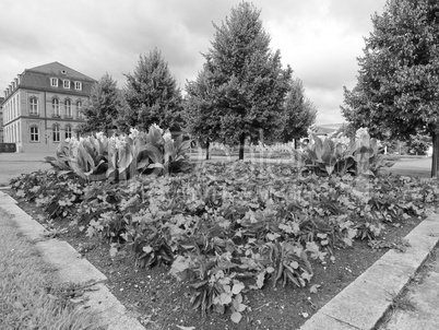 Gardens in Stuttgart Germany