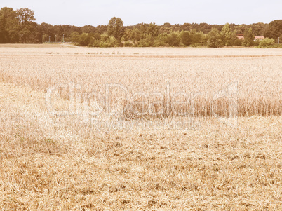 Retro looking Harvest picture