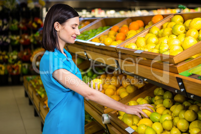 Portrait of a smiling woman picking lemon