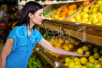 Portrait of a smiling woman picking lemon