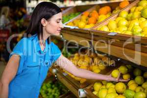 Portrait of a smiling woman picking lemon