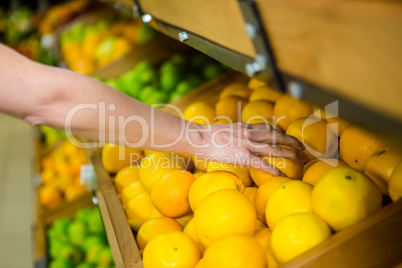 Close up view of a woman picking orange