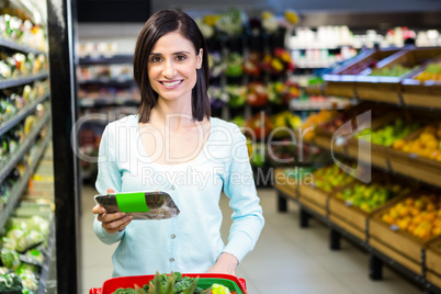 Portrait of a smiling woman doing shopping