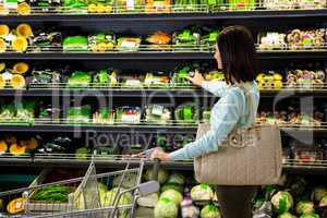 Portrait of a smiling woman doing shopping