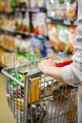 Cropped image of woman pushing trolley