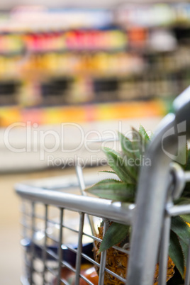 View of filled shopping cart