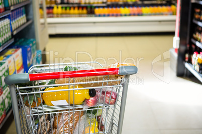 View of filled shopping cart