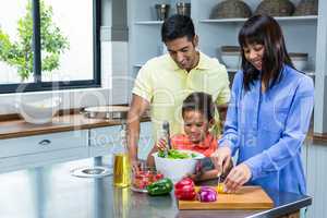 Happy family preparing salad in the kitchen