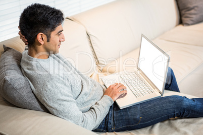 Handsome man using laptop on the sofa
