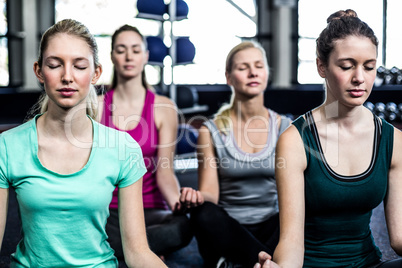 Fit group doing yoga