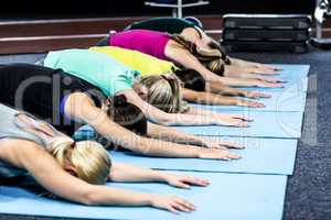 Fitness class doing yoga exercises