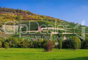 Saale Unstrut Weinberge - Saale Unstrut vineyards 06