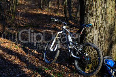 mountainbike bei baum