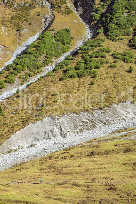 Mountainbiker auf Wanderweg