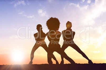 Silhouette of fit person