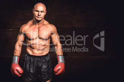 Composite image of portrait of bald man with boxing gloves