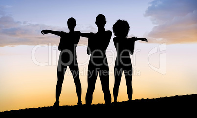 Silhouette of fit person