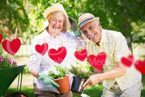 Composite image of happy senior couple gardening