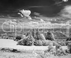 infrared photography landscape