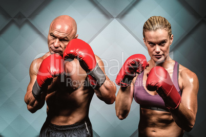 Composite image of portrait of boxers with gloves