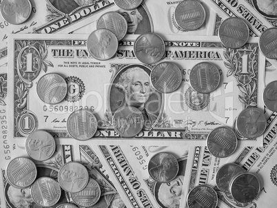 Black and white Dollar coins and notes Black and white Dollar coins and notes
