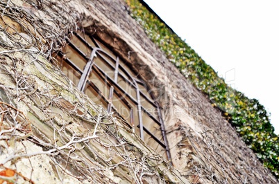 Wehrturm mit Rankpflanzen und Fenster