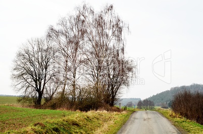 Felder mit Wirtschaftsweg