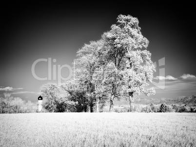 infrared photography landscape