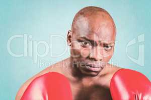 Composite image of portrait of bald boxer in gloves
