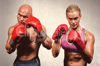 Composite image of portrait of boxers with gloves