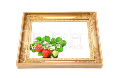 Strawberries in the frame for a picture