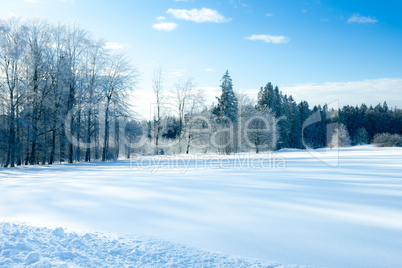 winter scenery at Dobel Germany