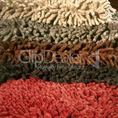 Samples of color of a carpet