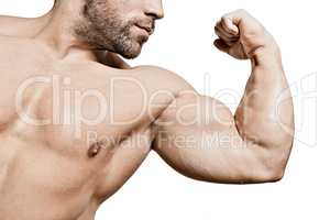 bodybuilding man biceps