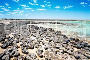Stromatolites Australia