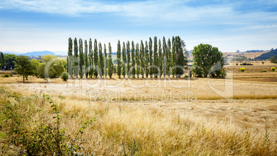 Tasmania Landscape