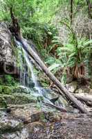 waterfall Tasmania