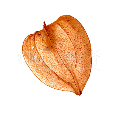 Fruit - Cape gooseberry